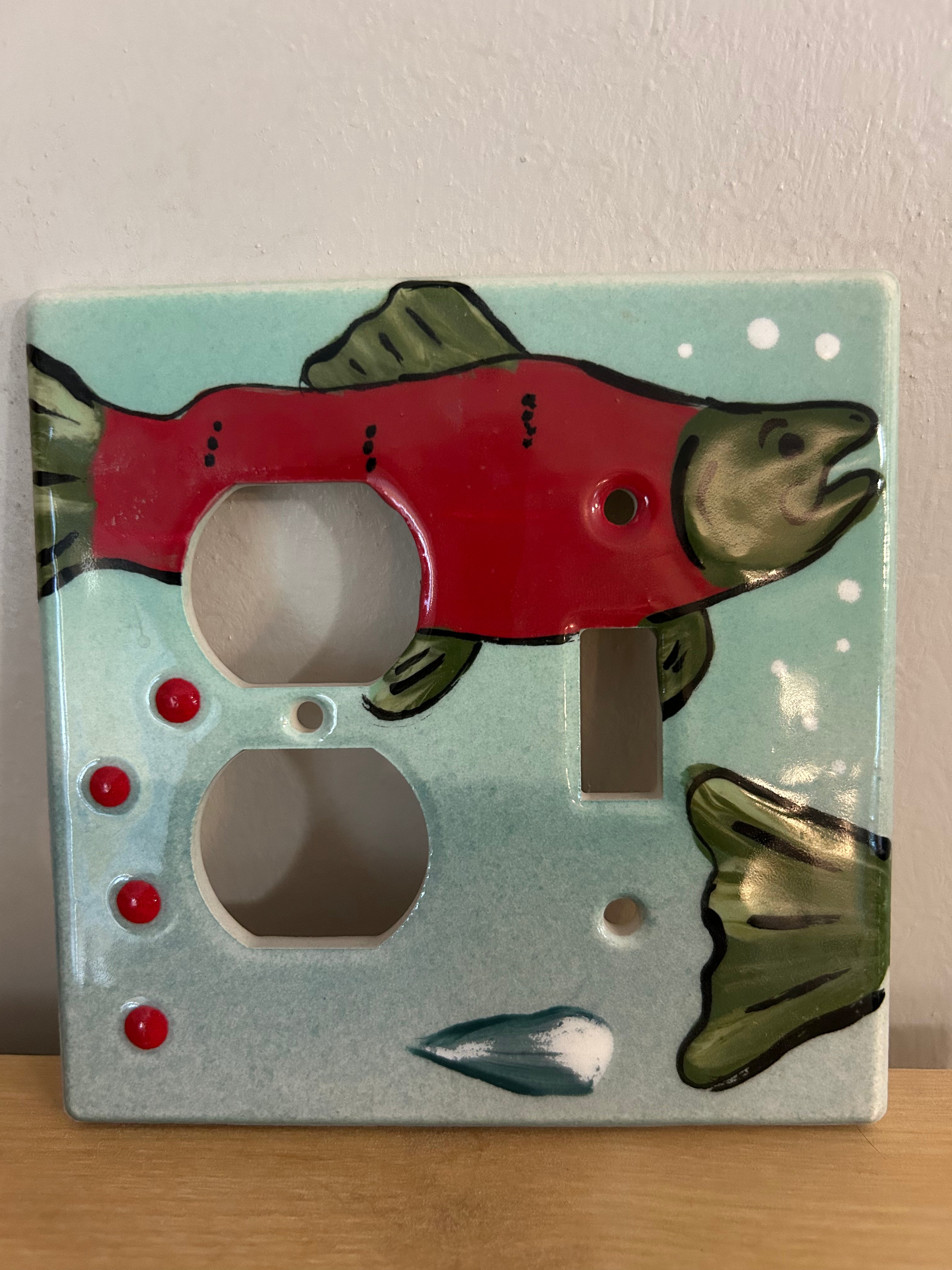 Salmon switch plate/outlet cover
