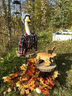 Porch Goose